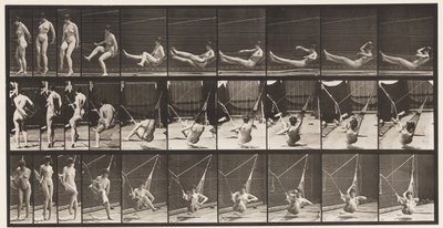 Tavle 261. At komme i hængekøje, 1872-1885 af Eadweard Muybridge
