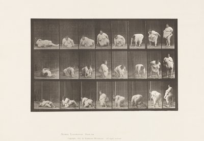 Tavle 268. Opstået fra jorden, 1885 af Eadweard Muybridge
