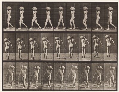 Plade 26. Gående, bærende 75-lb sten på venstre skulder af Eadweard Muybridge
