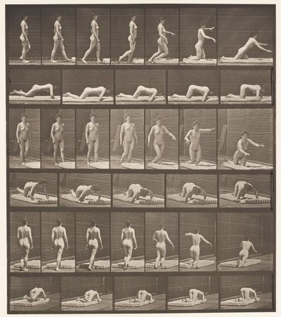 Tavle 272. Snubler og falder på jorden af Eadweard Muybridge