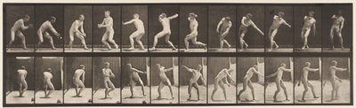 Plade 284.Base-ball; Fangst og Kast, 1885 af Eadweard Muybridge