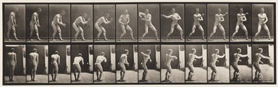 Plade 285. Base-ball; Fangst og Kast af Eadweard Muybridge