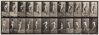 Tallerken 289.Cricket; Round Arm Bowling, 1885 af Eadweard Muybridge