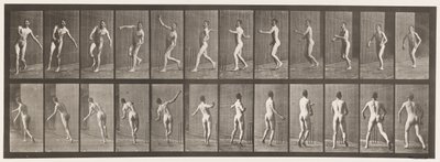 Tallerken 290.Cricket; Over Arm Bowling, 1885 af Eadweard Muybridge