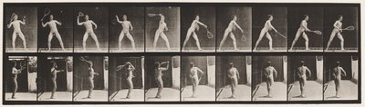Plade 294. Plænetennis; Betjener af Eadweard Muybridge