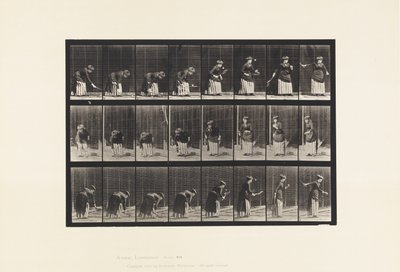 Plade 295. Plænetennis; Betjener af Eadweard Muybridge