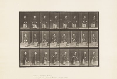 Plade 296. Plænetennis af Eadweard Muybridge
