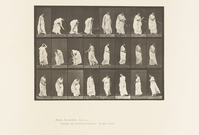 Tallerken 299. Leg med en bold af Eadweard Muybridge
