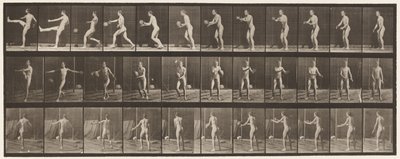 Tallerken 301. Fodbold; Punt, 1885 af Eadweard Muybridge
