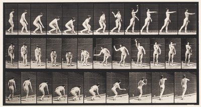 Tallerken 303. At samle en bold op og kaste den, 1872-1885 af Eadweard Muybridge
