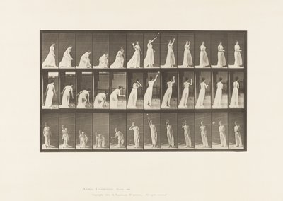 Tallerken 305. At tage en bold op og kaste den, 1885 af Eadweard Muybridge