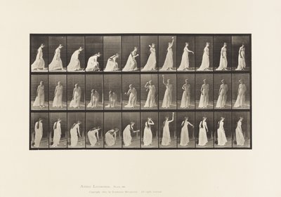 Tallerken 306. At tage en bold op og kaste den, 1885 af Eadweard Muybridge