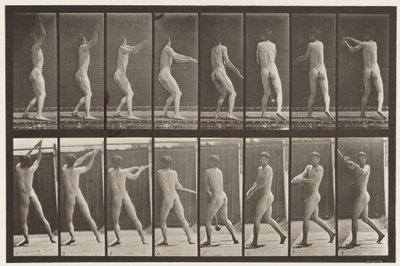 Plade 309. At kaste hammeren af Eadweard Muybridge