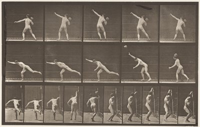 Plade 313. Heaving a 20-lb Rock, 1885 af Eadweard Muybridge