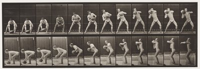 Plade 318. Løft en 75-lb sten, 1872-1885 af Eadweard Muybridge