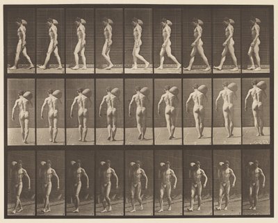 Plade 31. Gående, bærende 75-lb sten på højre skulder af Eadweard Muybridge
