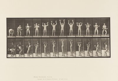 Tallerken 322. Mand løfter håndvægte af Eadweard Muybridge