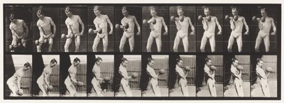 Plade 324. Curling 50-lb. Dumb-Bell, model, 3/4 længde af Eadweard Muybridge