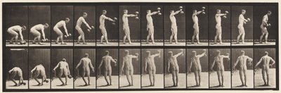 Plade 326. Løfte 50-lb. Dumb-Bell i armslængde af Eadweard Muybridge