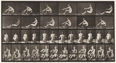 Tavle 327. Roning af Eadweard Muybridge