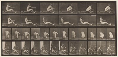 Tavle 328. Roning af Eadweard Muybridge