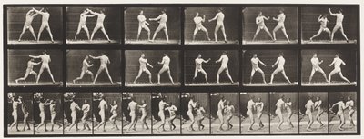 Tavle 329. Boksning; (Sko) af Eadweard Muybridge
