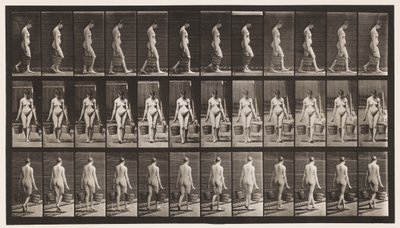 Plade 32. Gående, bærende spand vand i hver hånd af Eadweard Muybridge