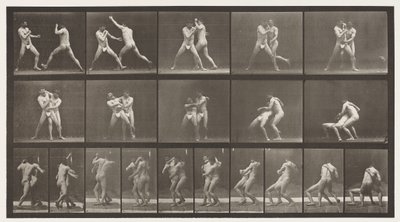 Tavle 331. Boksning; Stop for Cross-baller af Eadweard Muybridge