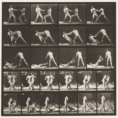 Tavle 333. Boksning; 53 Knocking 52 Down (Sko) af Eadweard Muybridge
