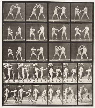Tavle 334. Boksning; Med handsker (sko) af Eadweard Muybridge