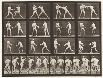 Tavle 335. Boksning; Med handsker af Eadweard Muybridge