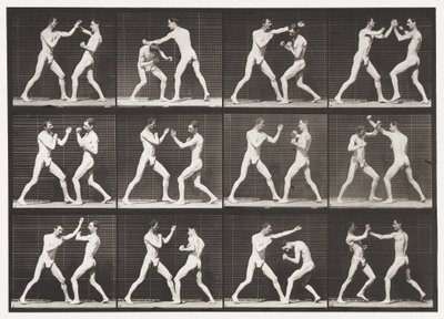 Tavle 336. Boksning; Åben hånd (sko) af Eadweard Muybridge