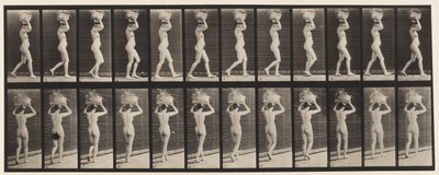 Plade 33. Gående, 14-lb. Kurv på hovedet, hævede hænder, 1872-1885 af Eadweard Muybridge