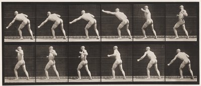 Plade 343. Slå et slag (venstre hånd) af Eadweard Muybridge