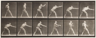 Plade 344. Slå et slag (højre hånd) af Eadweard Muybridge