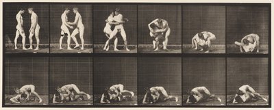 Plade 345. Brydning, Lås, 1885 af Eadweard Muybridge