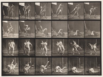 Tavle 348. Wrestling, græsk-romersk, 1885 af Eadweard Muybridge
