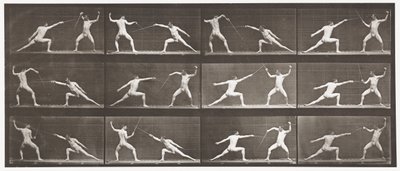 Tavle 349. Fægtning, 1872-1885 af Eadweard Muybridge