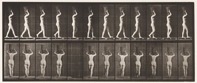 Tavle 34. Gå af Eadweard Muybridge