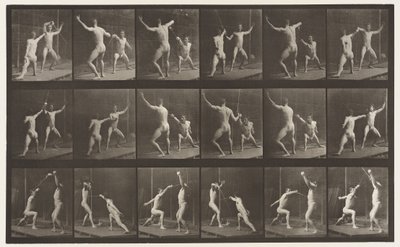 Plade 350. Fægtning af Eadweard Muybridge