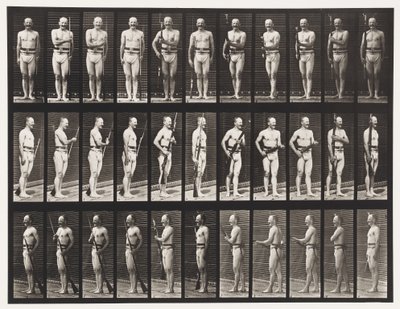 Plade 351. Fix og Unfix Bajonetter, 1872-1885 af Eadweard Muybridge