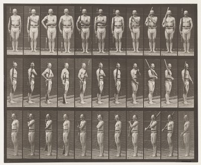 Plade 352. Skulder-, ordens- og bærearme af Eadweard Muybridge