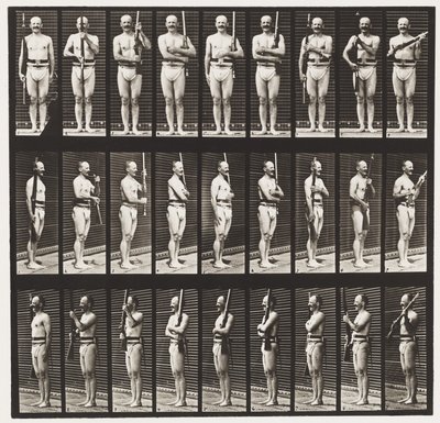 Plade 353. Støttearme og våbenhavn, 1872-1885 af Eadweard Muybridge