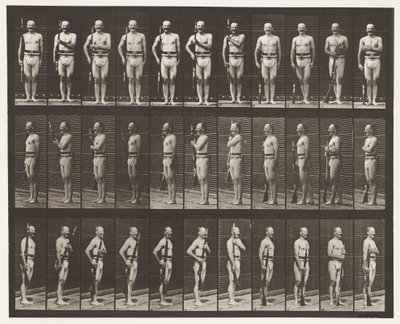 Plade 354. Bærearme, Paradestøtte og Trailarme af Eadweard Muybridge