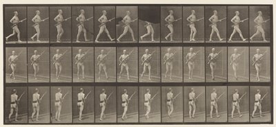 Plade 359. Ladebajonet, 1872-1885 af Eadweard Muybridge