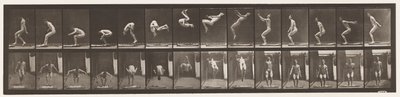 Plade 362. Rygsalto af Eadweard Muybridge