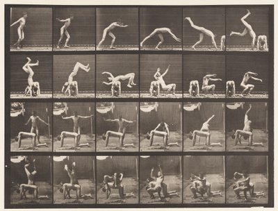 Tavle 364. Håndfjeder over Mandens Ryg af Eadweard Muybridge