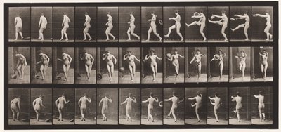 Tavle 367. Sparker med en hat, 1872-1885 af Eadweard Muybridge