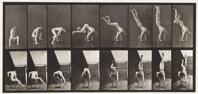 Plade 373. Akrobat, tryk op fra stolen af Eadweard Muybridge