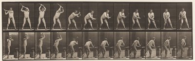 Tavle 376. Smed, hamring på ambolt, to hænder, 1872-1885 af Eadweard Muybridge